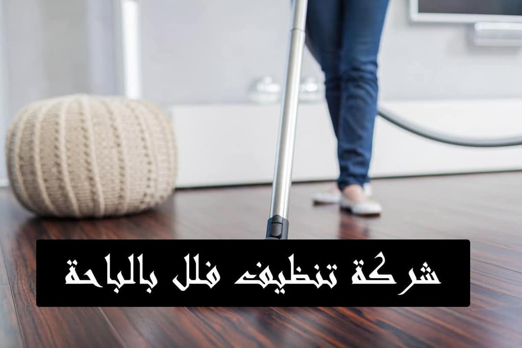 شركة تنظيف شقق بالباحة شركة تنظيف فلل بالباحة شركة تنظيف بالباحة شركة تنظيف منازل بالباحة