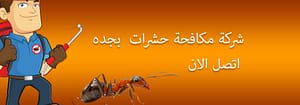 شركات مكافحة الحشرات بجده