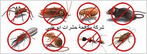 شركة مكافحة حشرات ابو ظبى