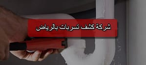 شركة كشف تسربات بالرياض