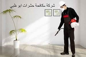 شركة مكافحة حشرات ابو ظبى