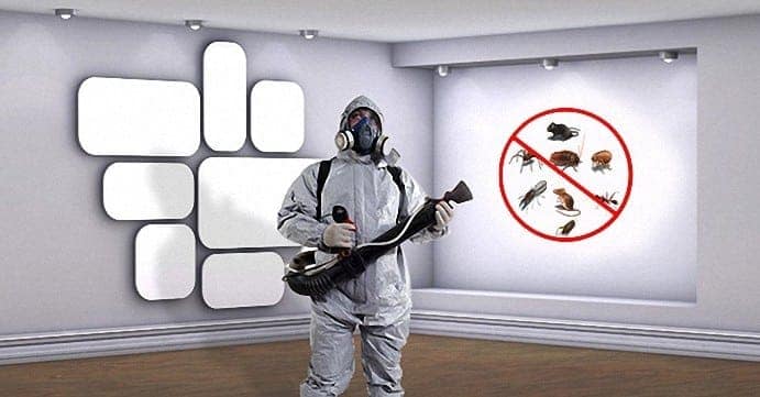 افضل شركة مكافحة حشرات بالخرج