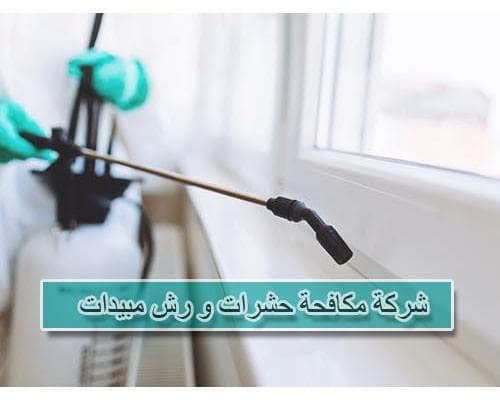 شركة مكافحة حشرات ورش مبيدات بالرياض